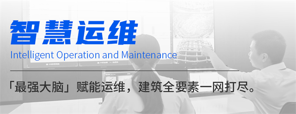 2025新奥门原料免费资料