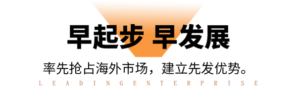 2025新奥门原料免费资料